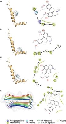 Boldine Attenuates Synaptic Failure and Mitochondrial Deregulation in Cellular Models of Alzheimer’s Disease